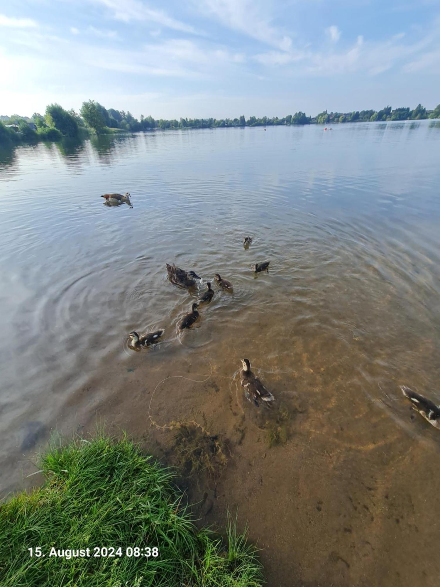 Ferienhaus Am See-2 Hungen Екстер'єр фото