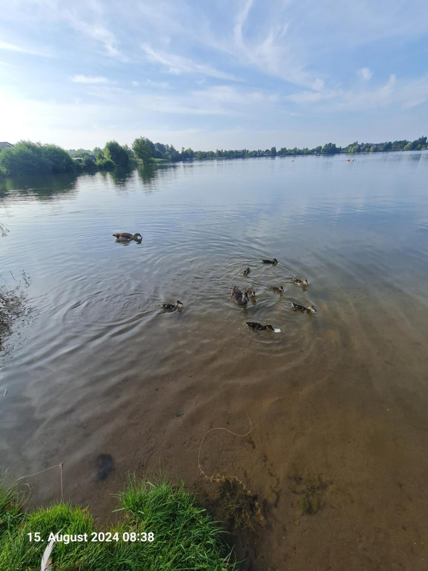 Ferienhaus Am See-2 Hungen Екстер'єр фото