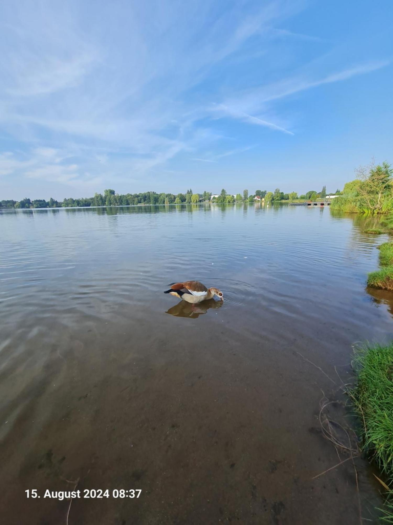 Ferienhaus Am See-2 Hungen Екстер'єр фото